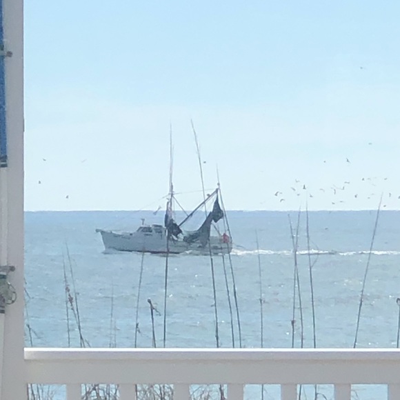 Meet your Posher, Angie - Picture 13 of 13